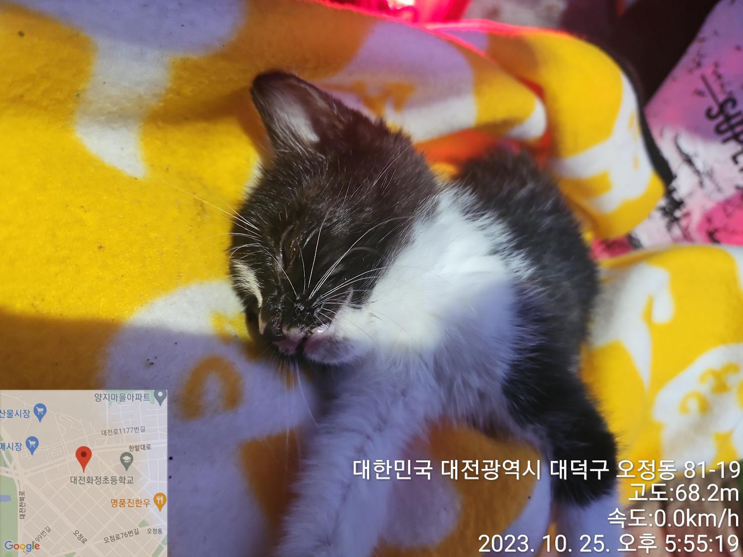종료(자연사) 한국…