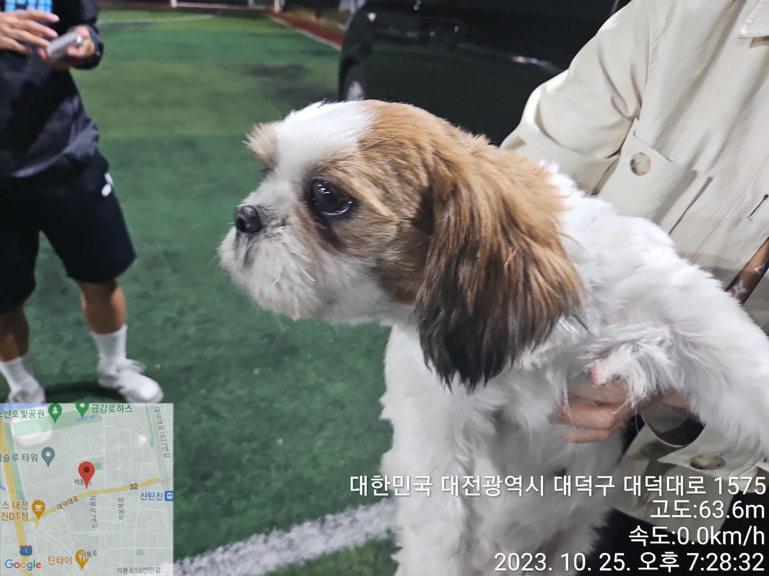 대전동물보호센터_430368202300557