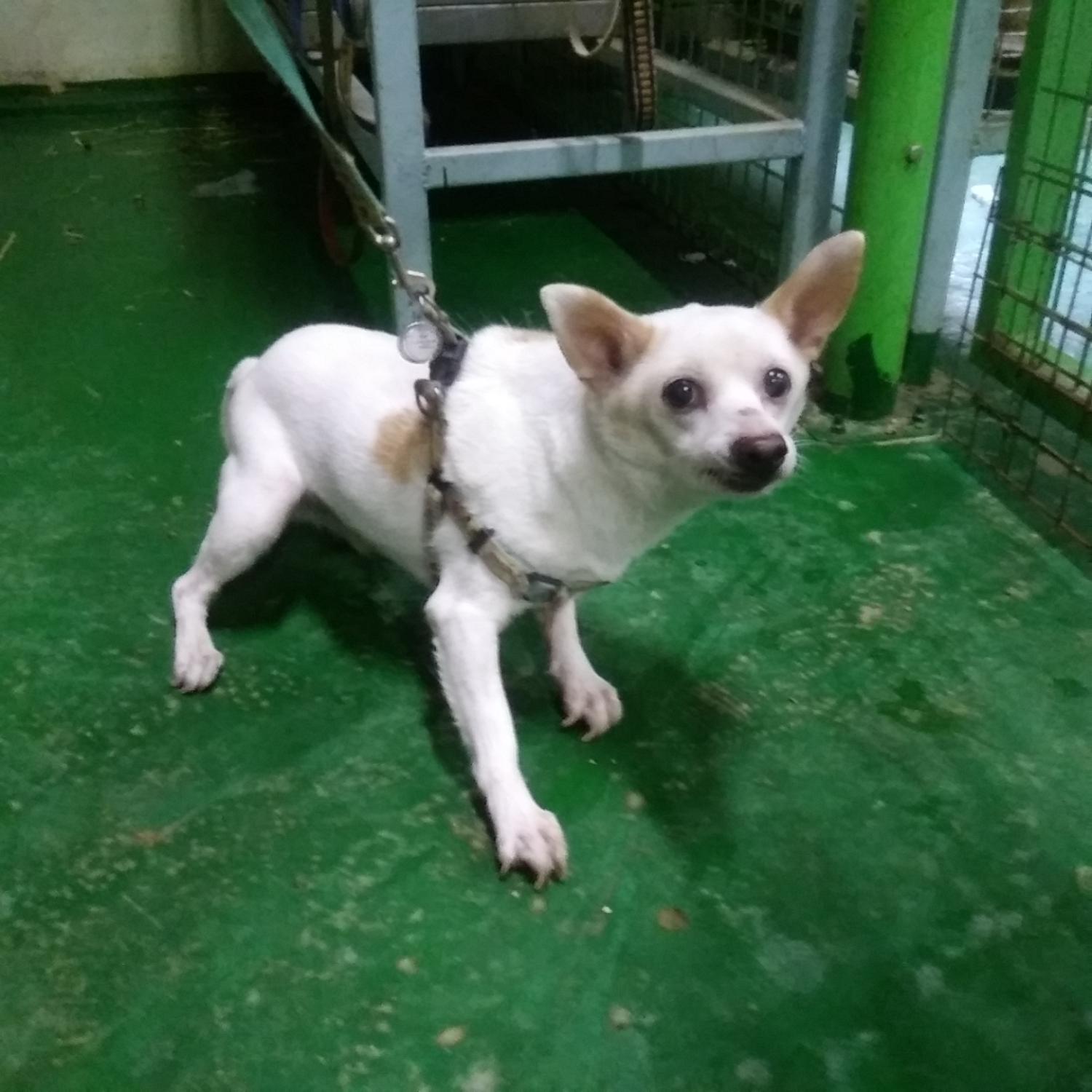 인천광역시수의사회_428353202301218