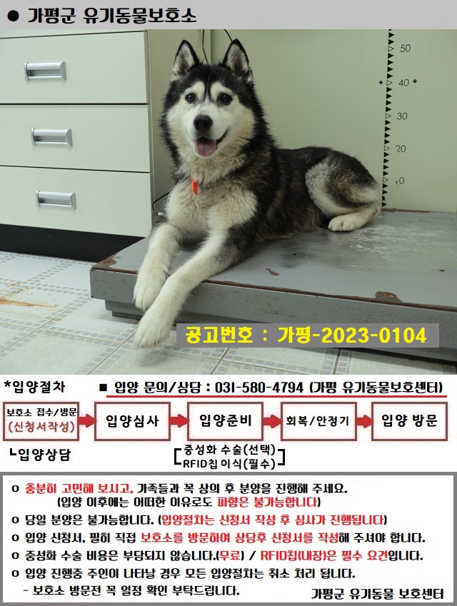 가평군유기동물보호소_441416202300448