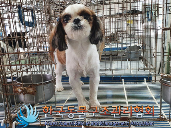한국동물구조관리협회_411309202300430
