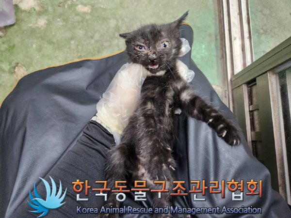 종료(반환) 한국 …