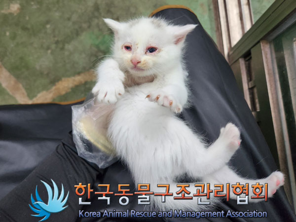 한국동물구조관리협회_441409202301714