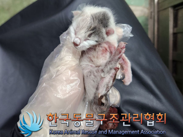 한국동물구조관리협회_411307202300434