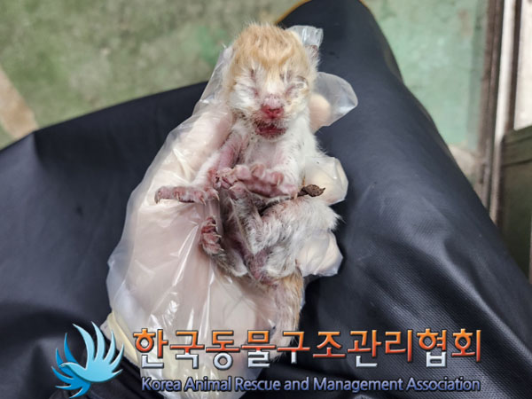 한국동물구조관리협회_411307202300433