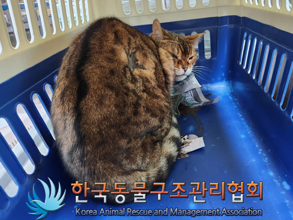 한국동물구조관리협회_411309202300432