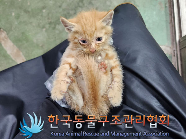 종료(자연사) 한국…