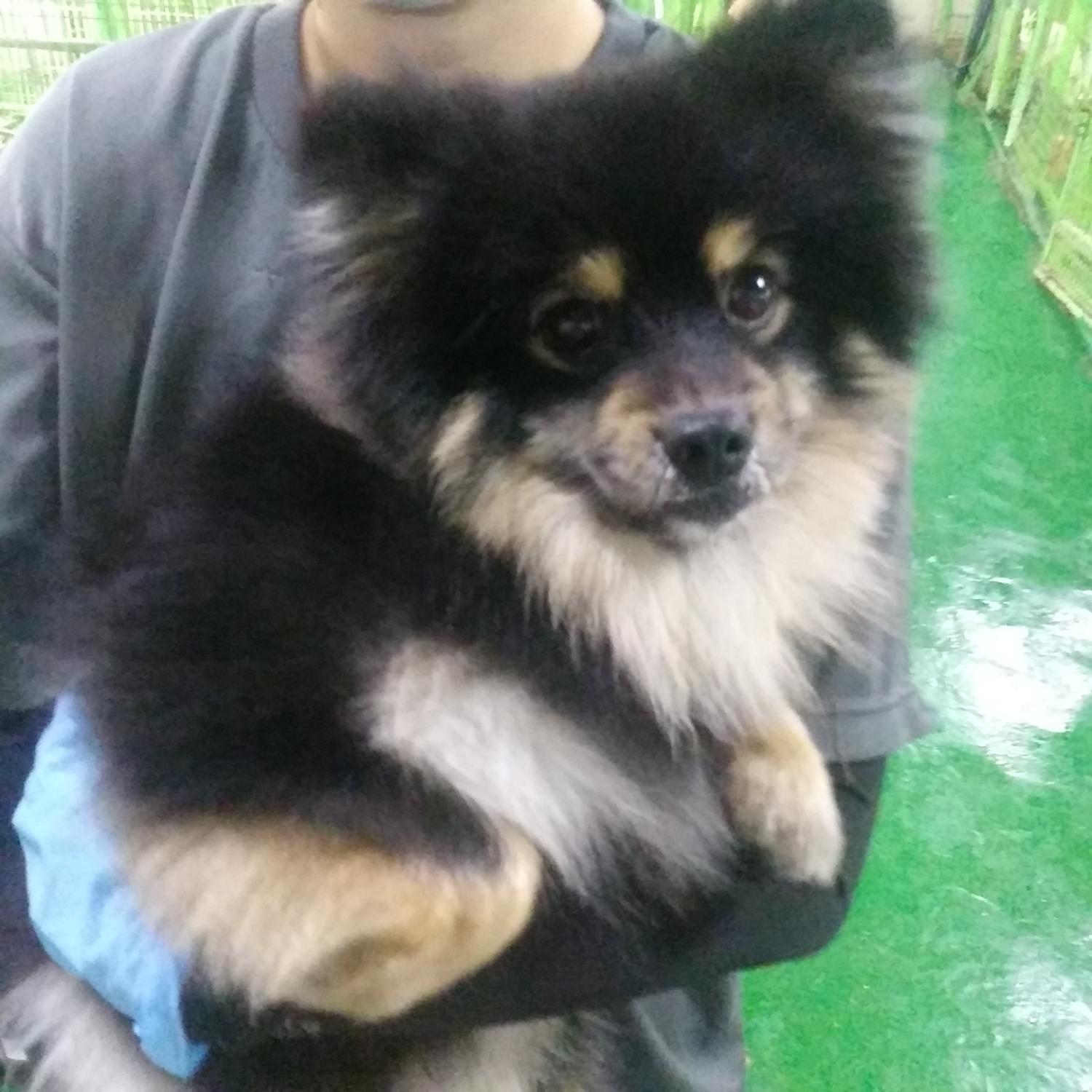 인천광역시수의사회_428353202301220