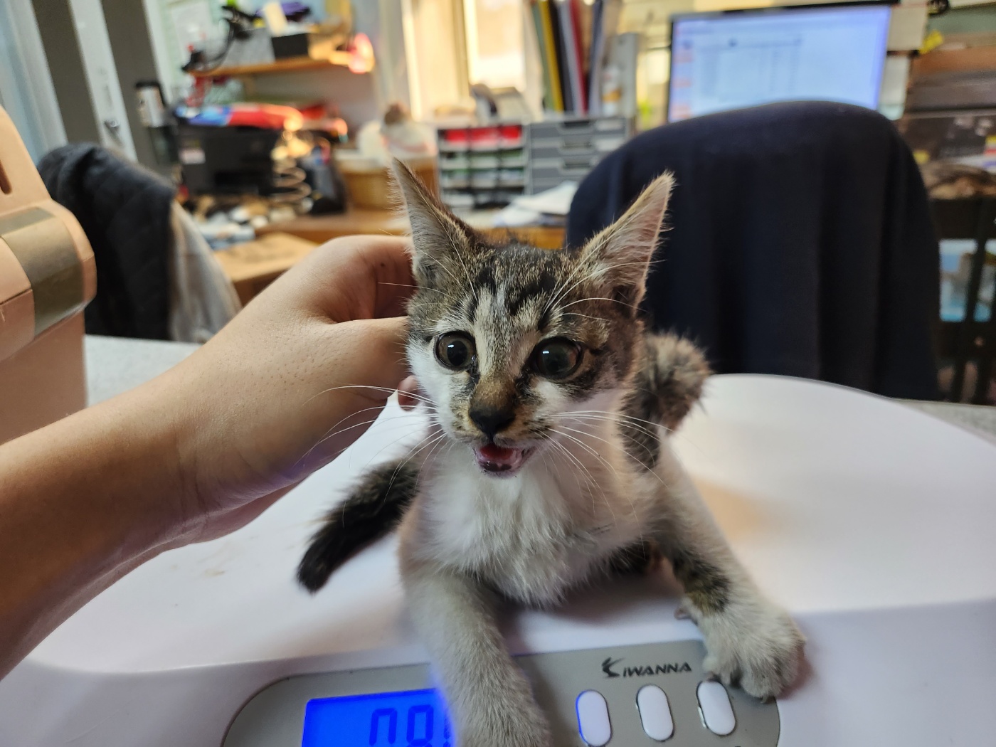광주 동물보호소_429362202300997