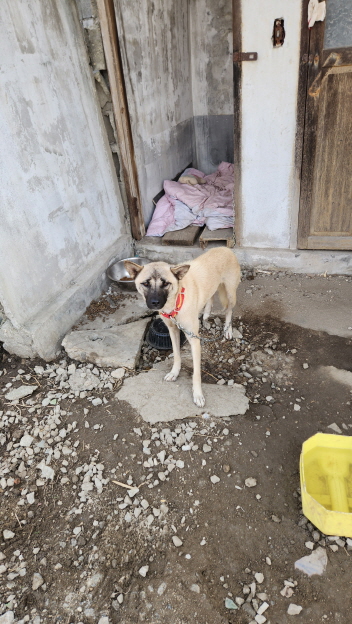익산유기동물보호소_445468202302113