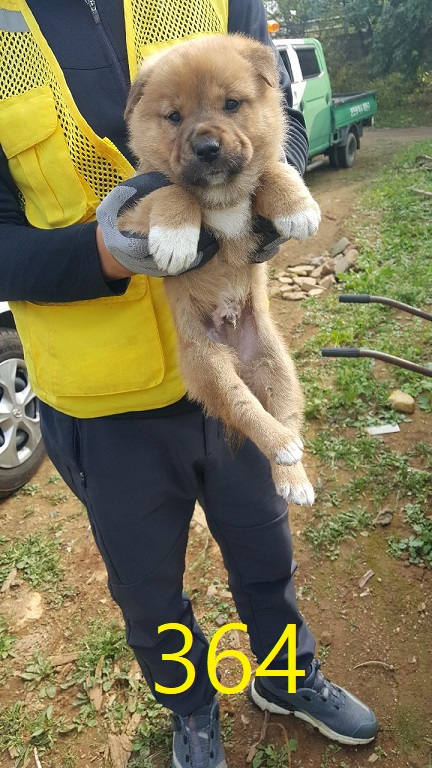 신영재동물병원_428355202300581