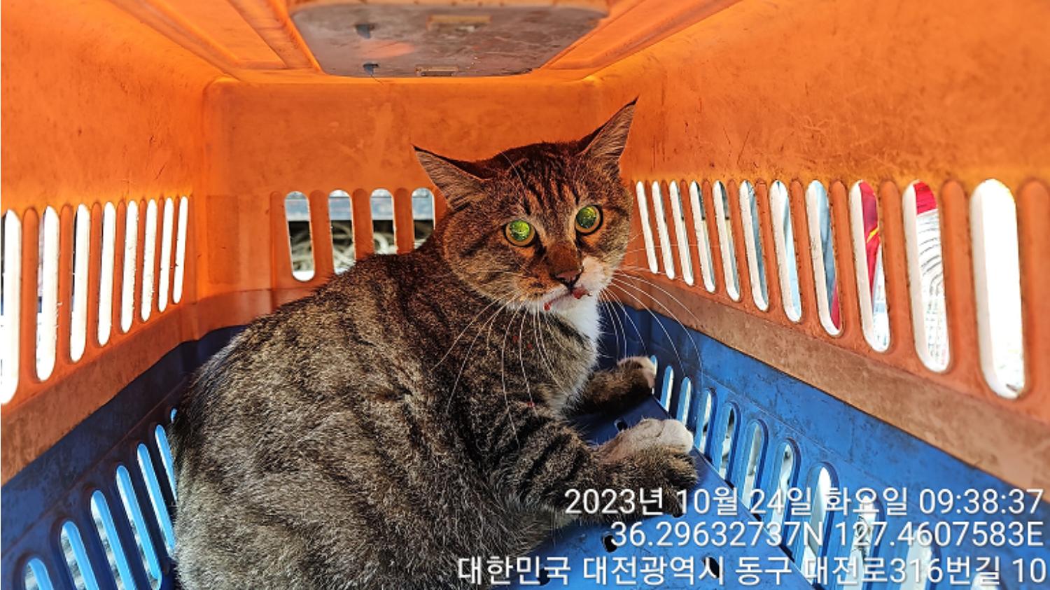 종료(자연사) 한국…