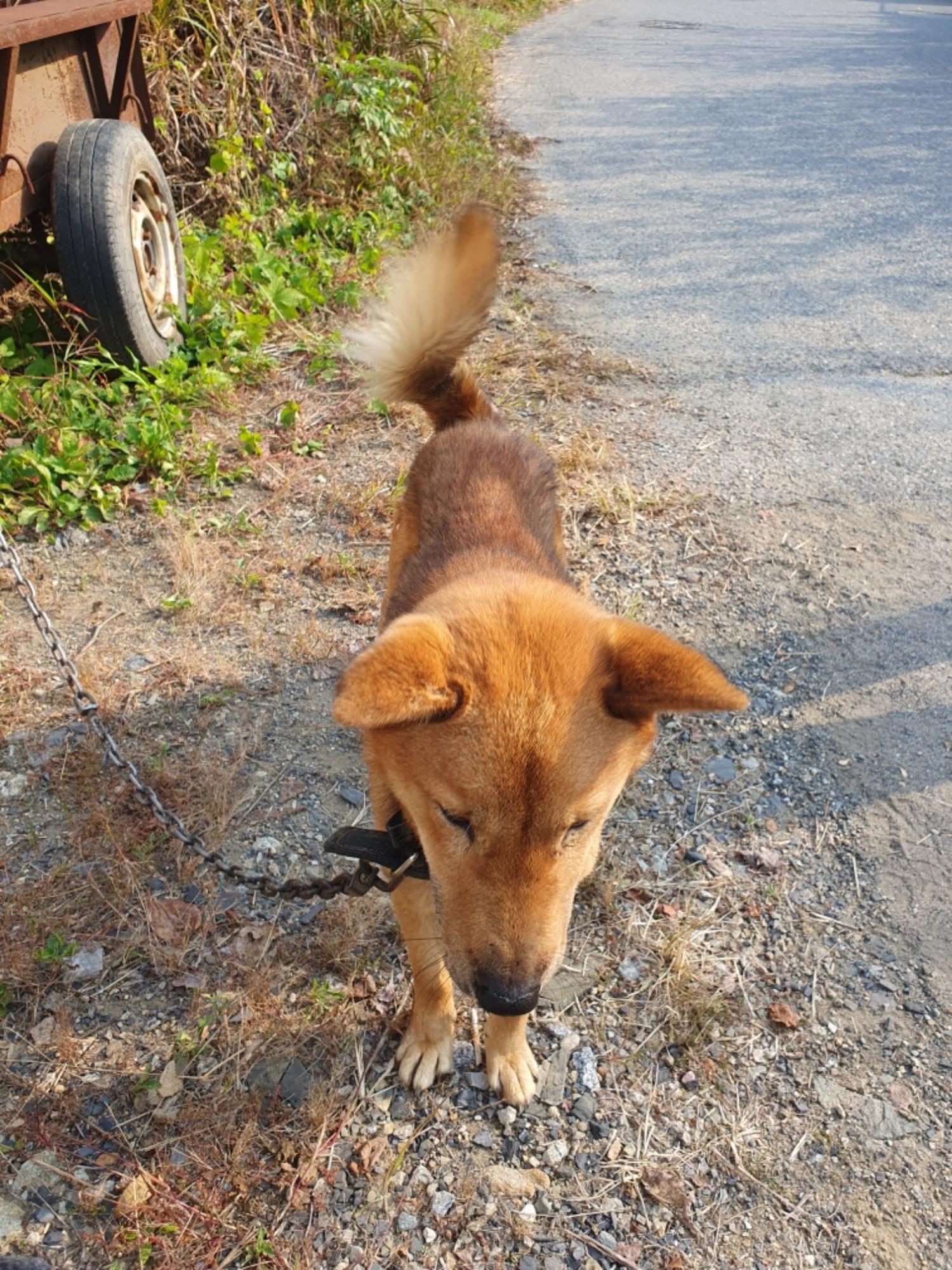 최종주동물병원_443444202300549