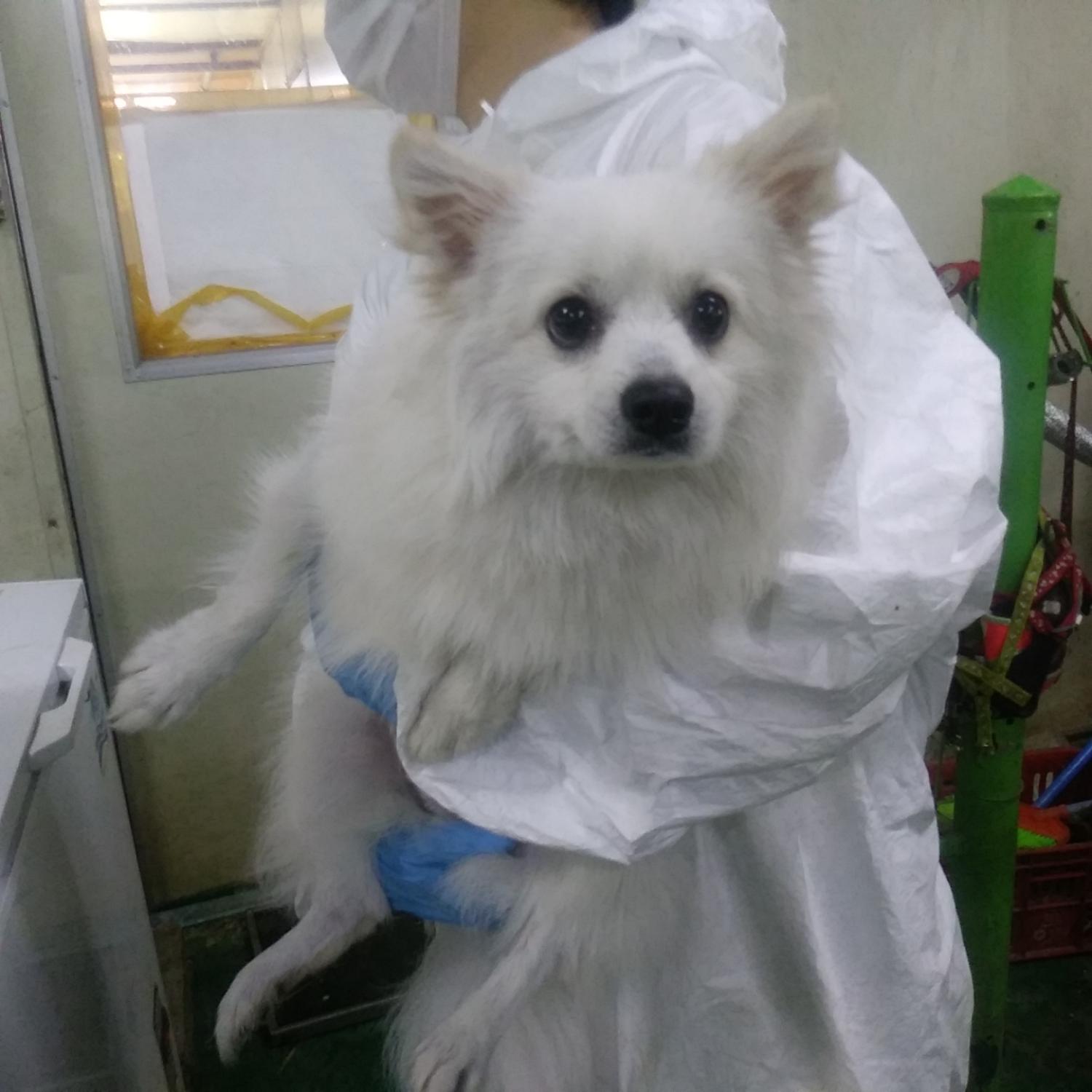 인천광역시수의사회_428352202300452