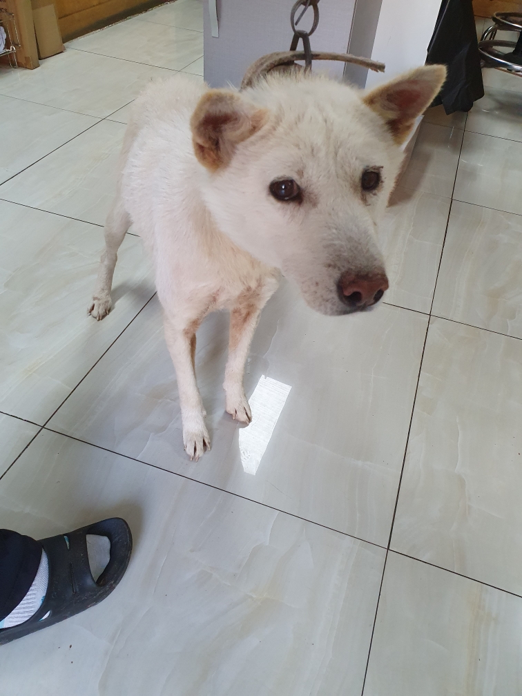 최종주동물병원_443444202300560