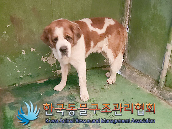 한국동물구조관리협회_441414202300834