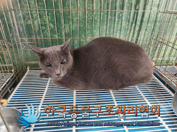 한국동물구조관리협회_411311202300854
