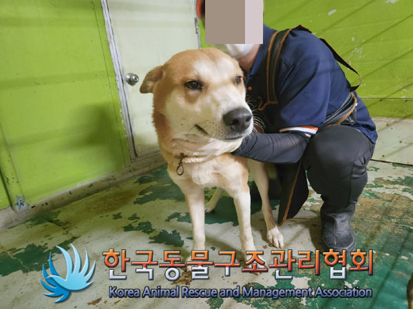 한국동물구조관리협회_441560202301433