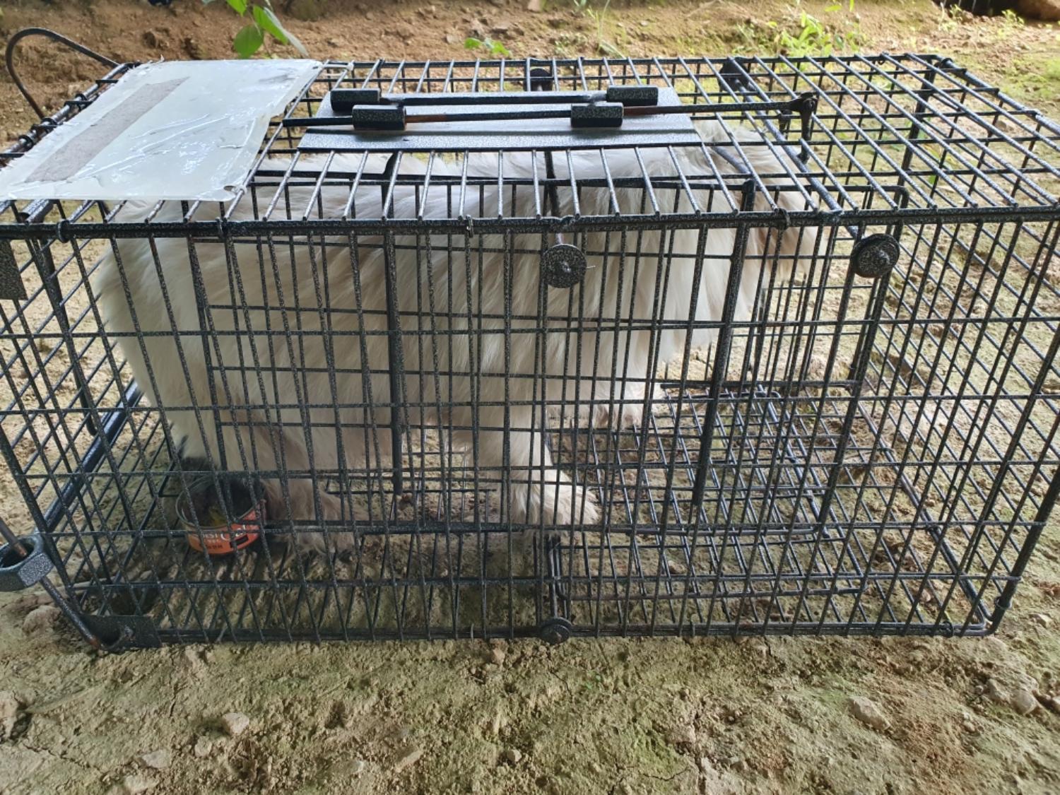 최종주동물병원_443444202300574