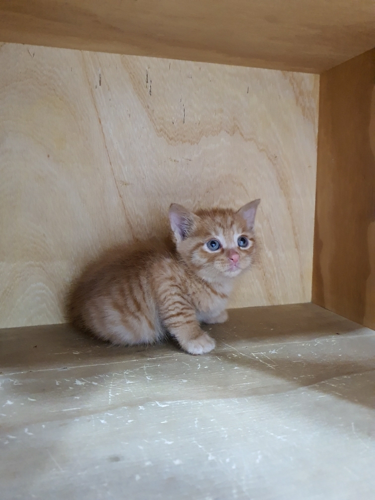 대구시수의사회(동산)_427341202300492