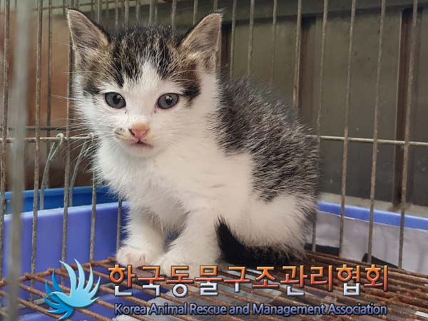 종료(자연사) 한국…