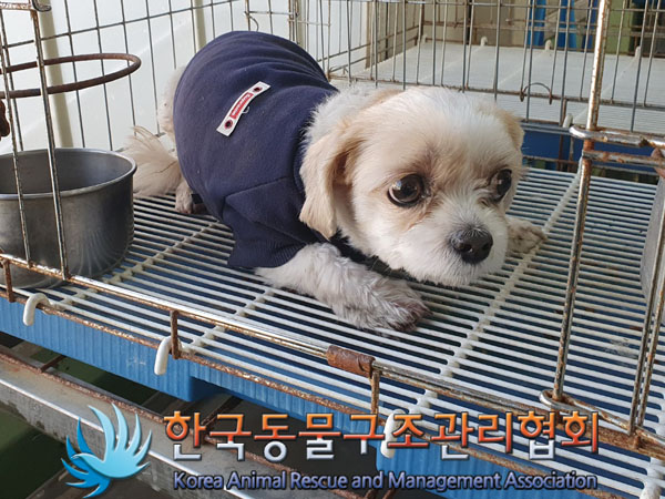 한국동물구조관리협회_411312202300717