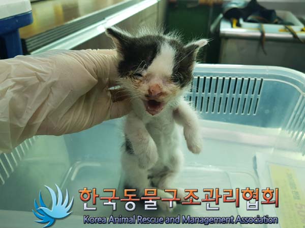 종료(자연사) 한국…