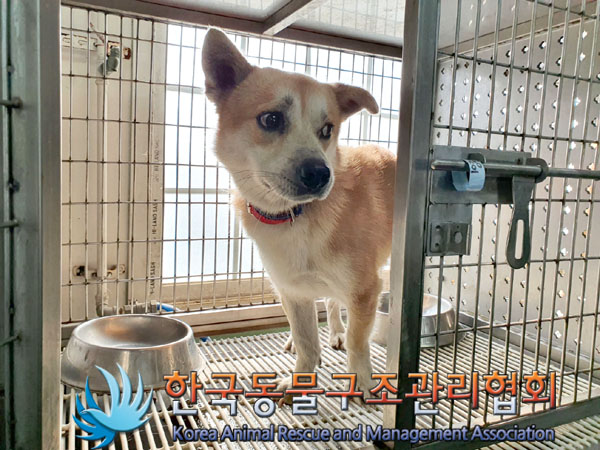 한국동물구조관리협회_411307202300436