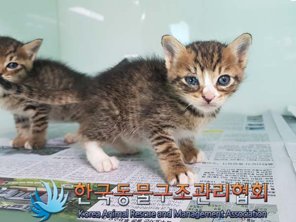 종료(자연사) 한국…