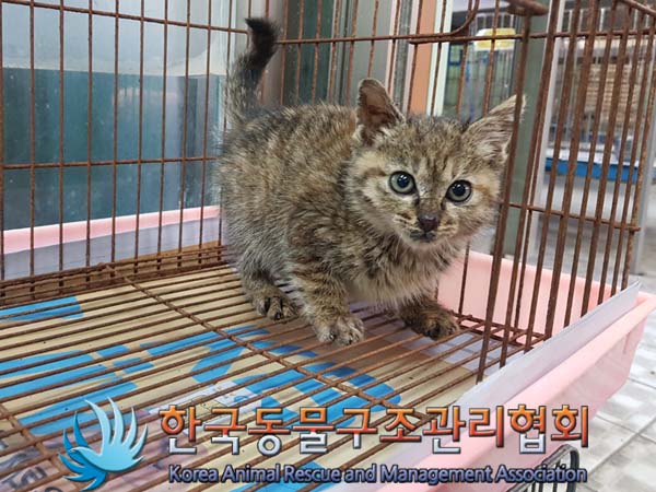 종료(자연사) 한국…