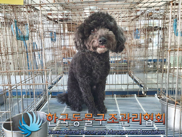 한국동물구조관리협회_411317202300346