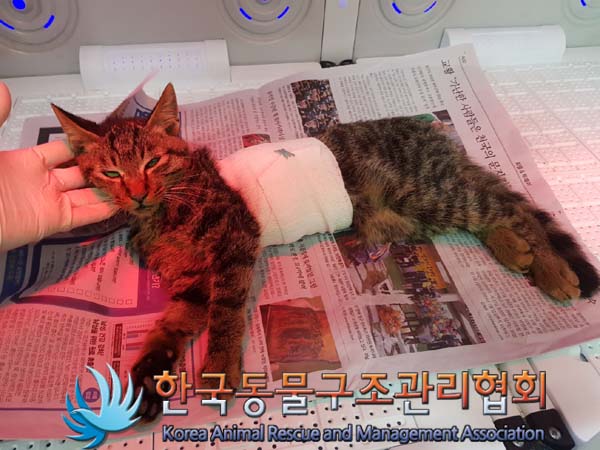 종료(자연사) 한국…
