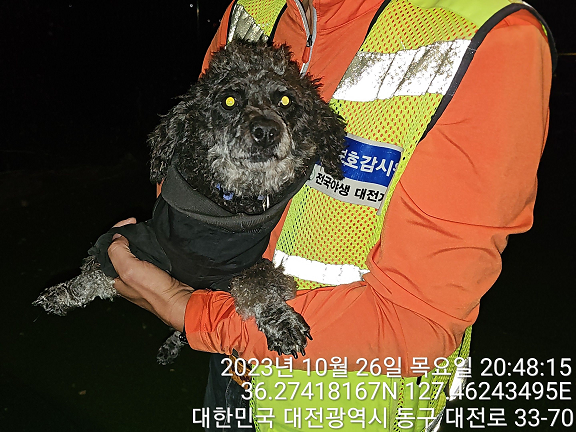 대전동물보호센터_430364202300336