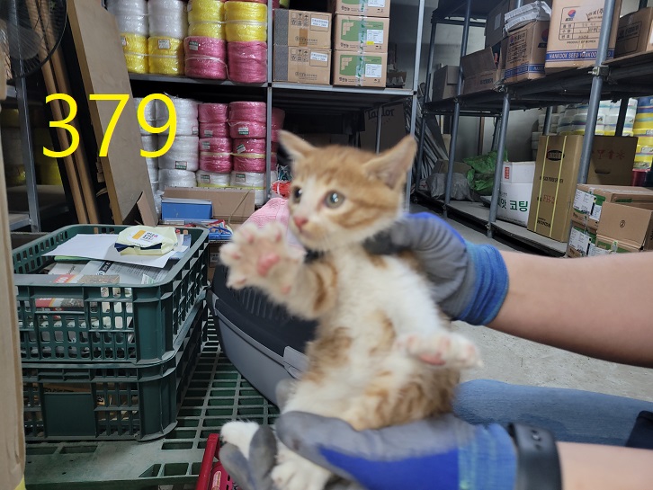 신영재동물병원_428355202300596