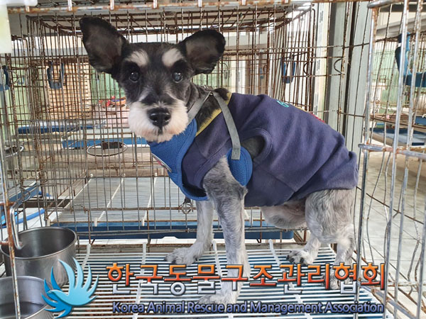 한국동물구조관리협회_411301202300603