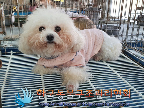 한국동물구조관리협회_411303202300614
