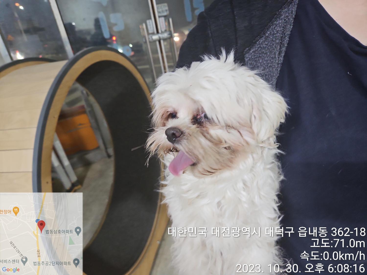 대전동물보호센터_430368202300560