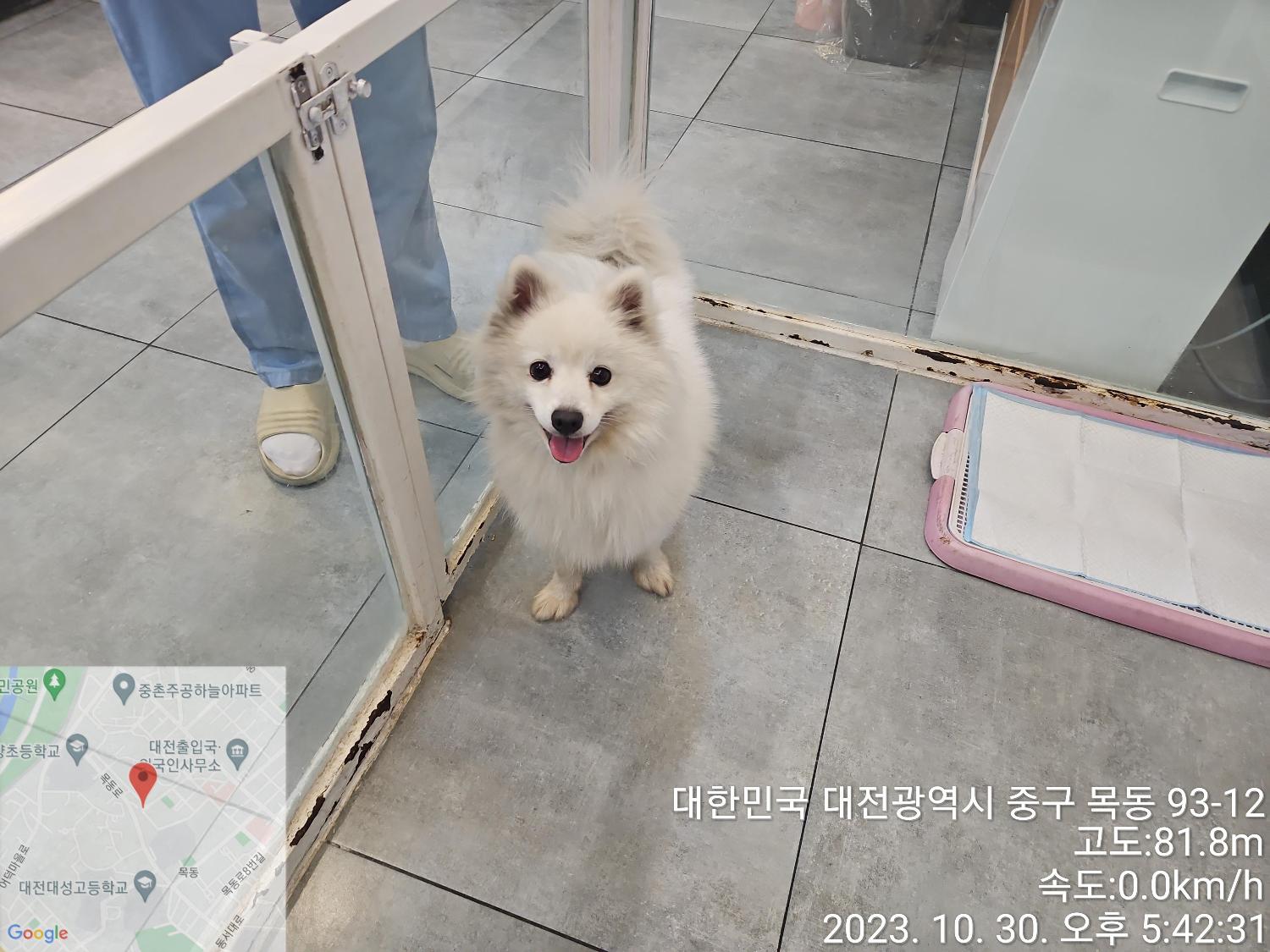 대전동물보호센터_430365202300536