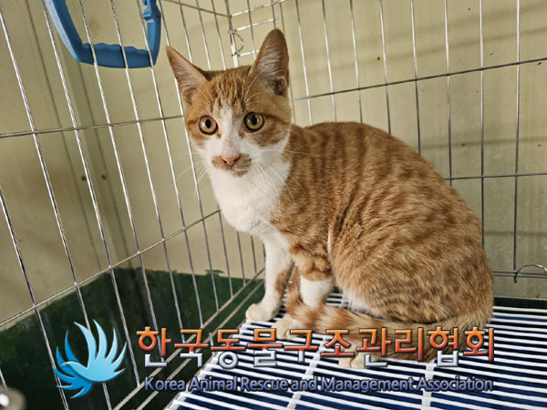 종료(자연사) 한국…