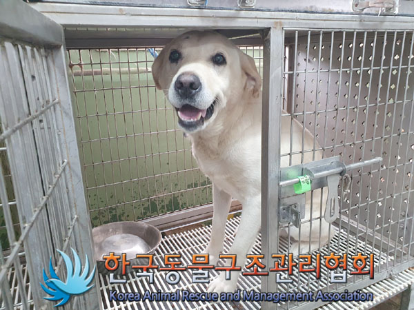 종료(반환) 라브라…