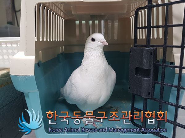 한국동물구조관리협회_411310202300521