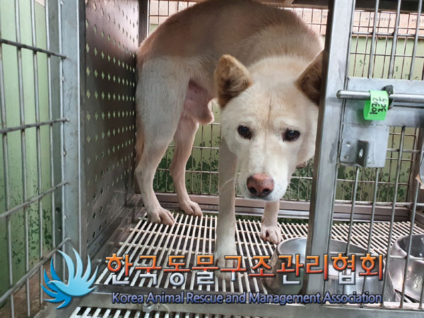 한국동물구조관리협회_441560202301450