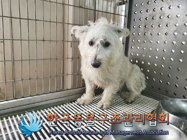 한국동물구조관리협회_411311202300859
