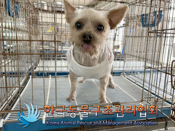 한국동물구조관리협회_441406202301687