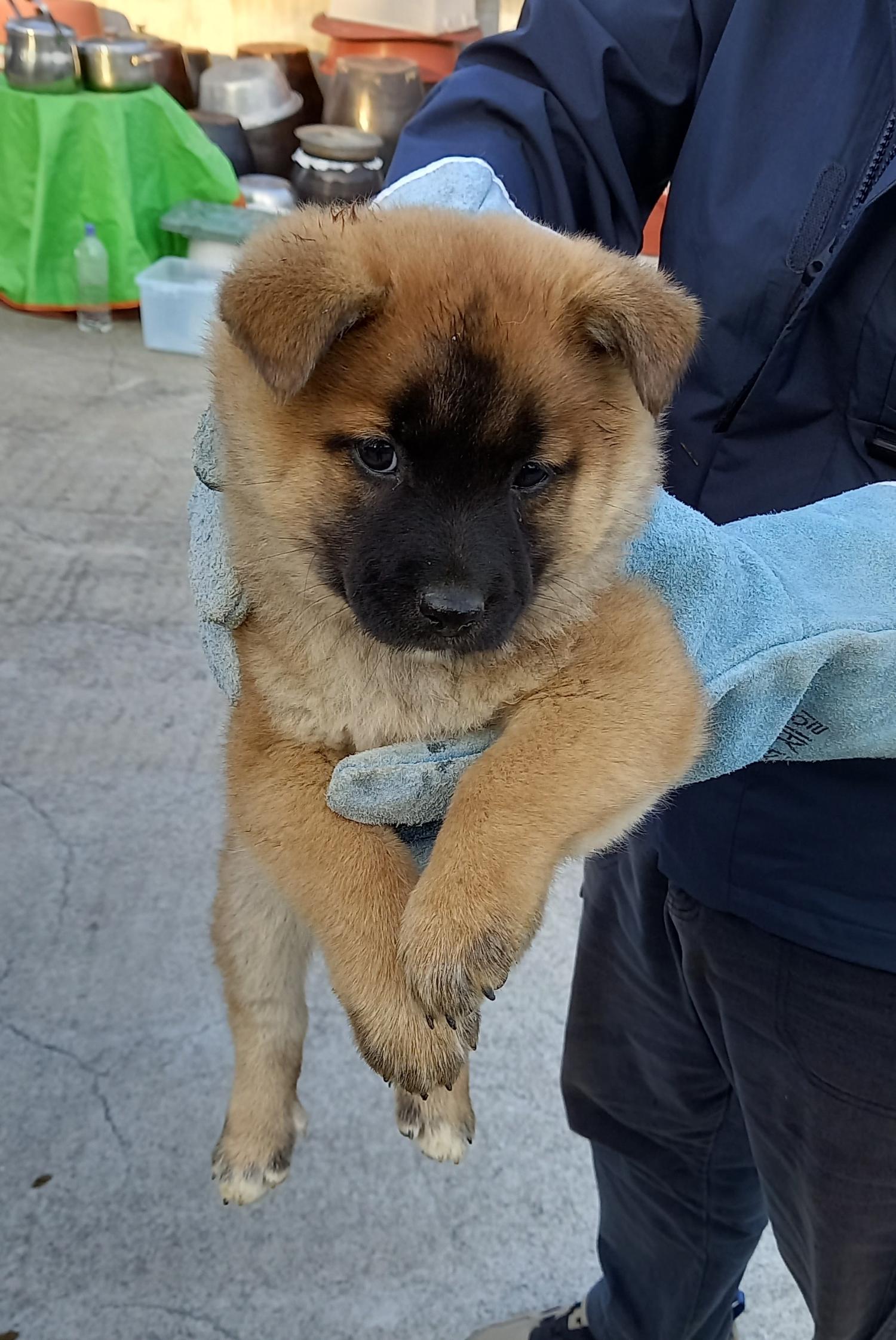금일동물보호센터_444460202300790