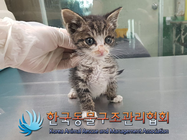 종료(자연사) 한국…