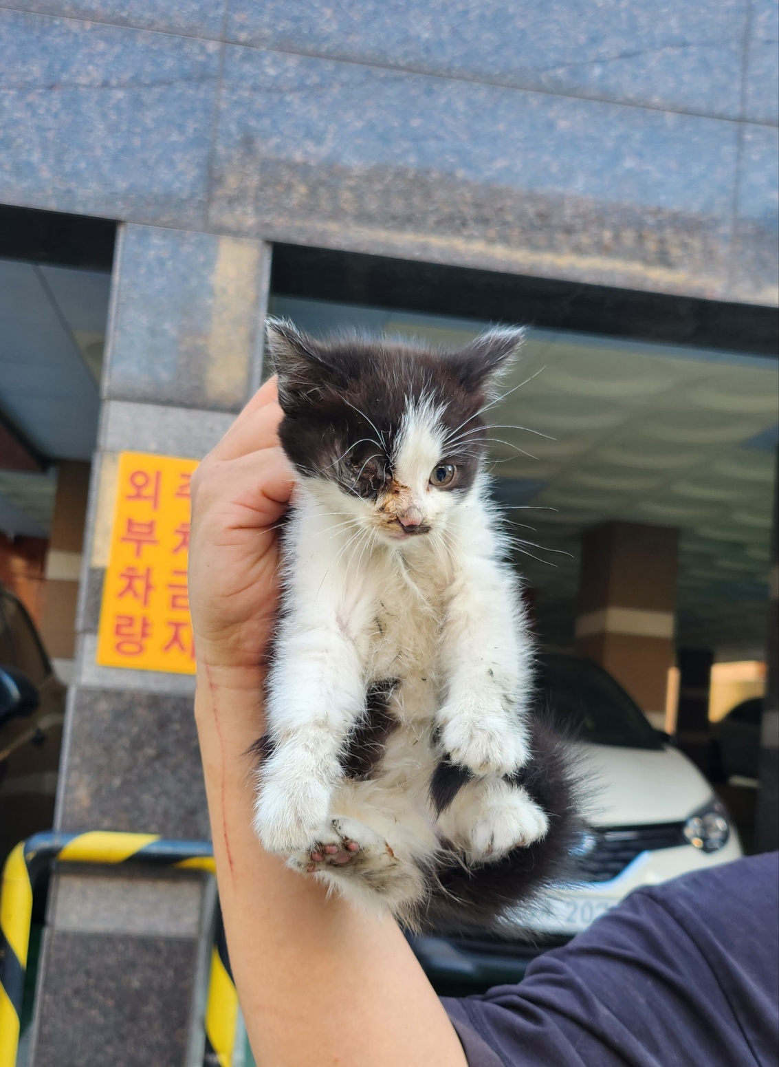 부산동물보호센터_426326202300681