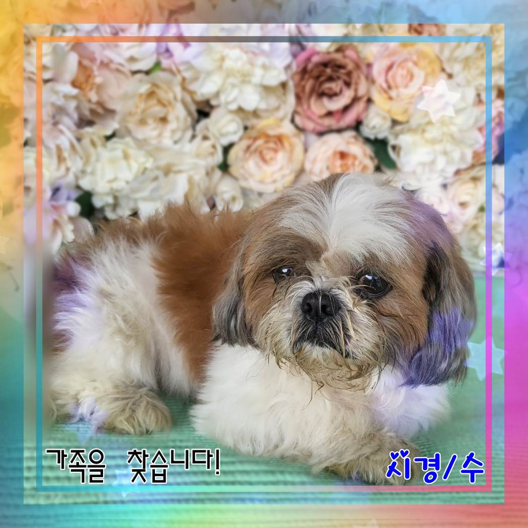 군산유기동물보호센터_445467202302311
