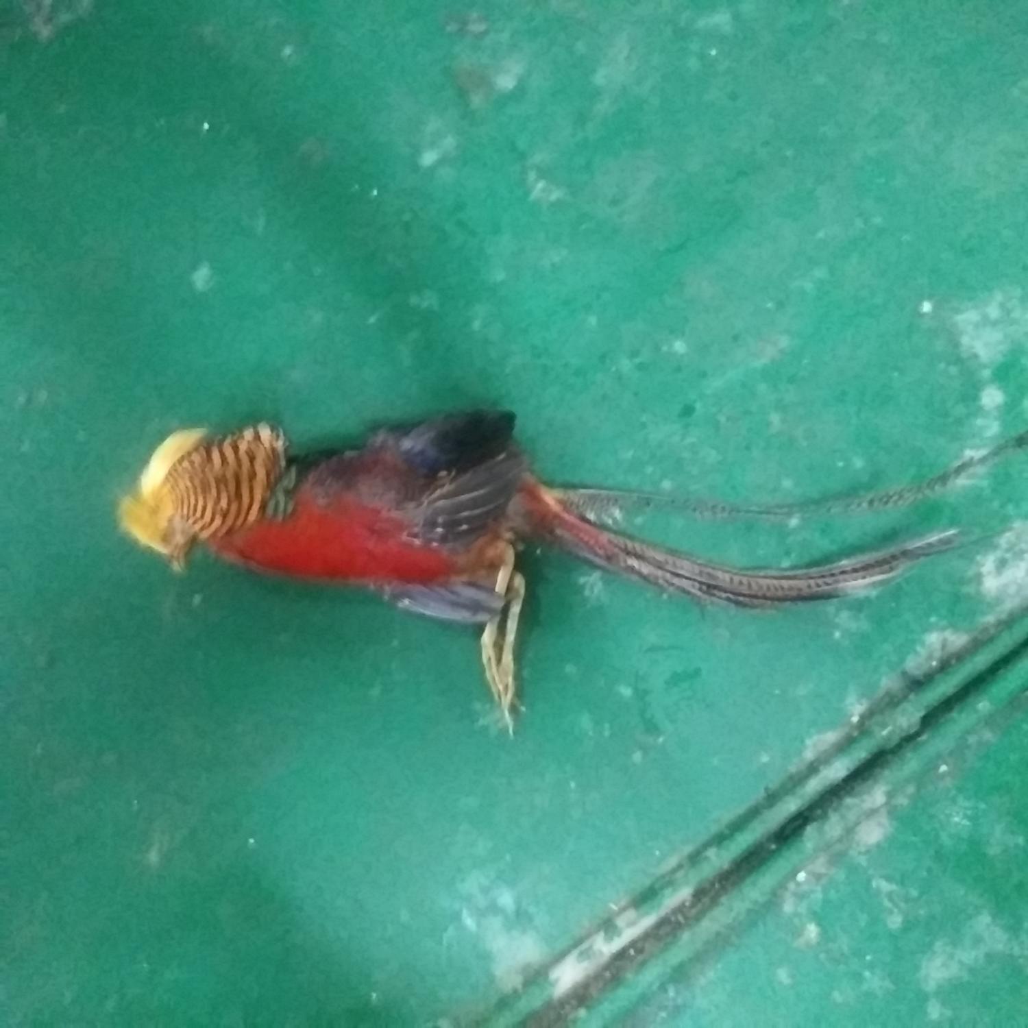 인천광역시수의사회_428353202301243