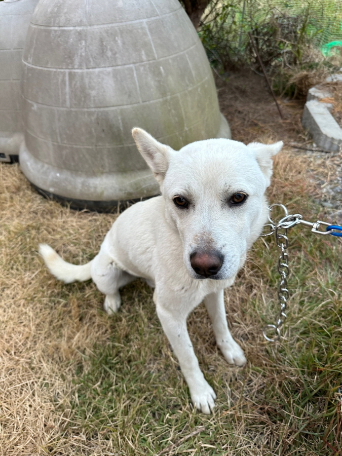 이성준동물병원_441408202301537